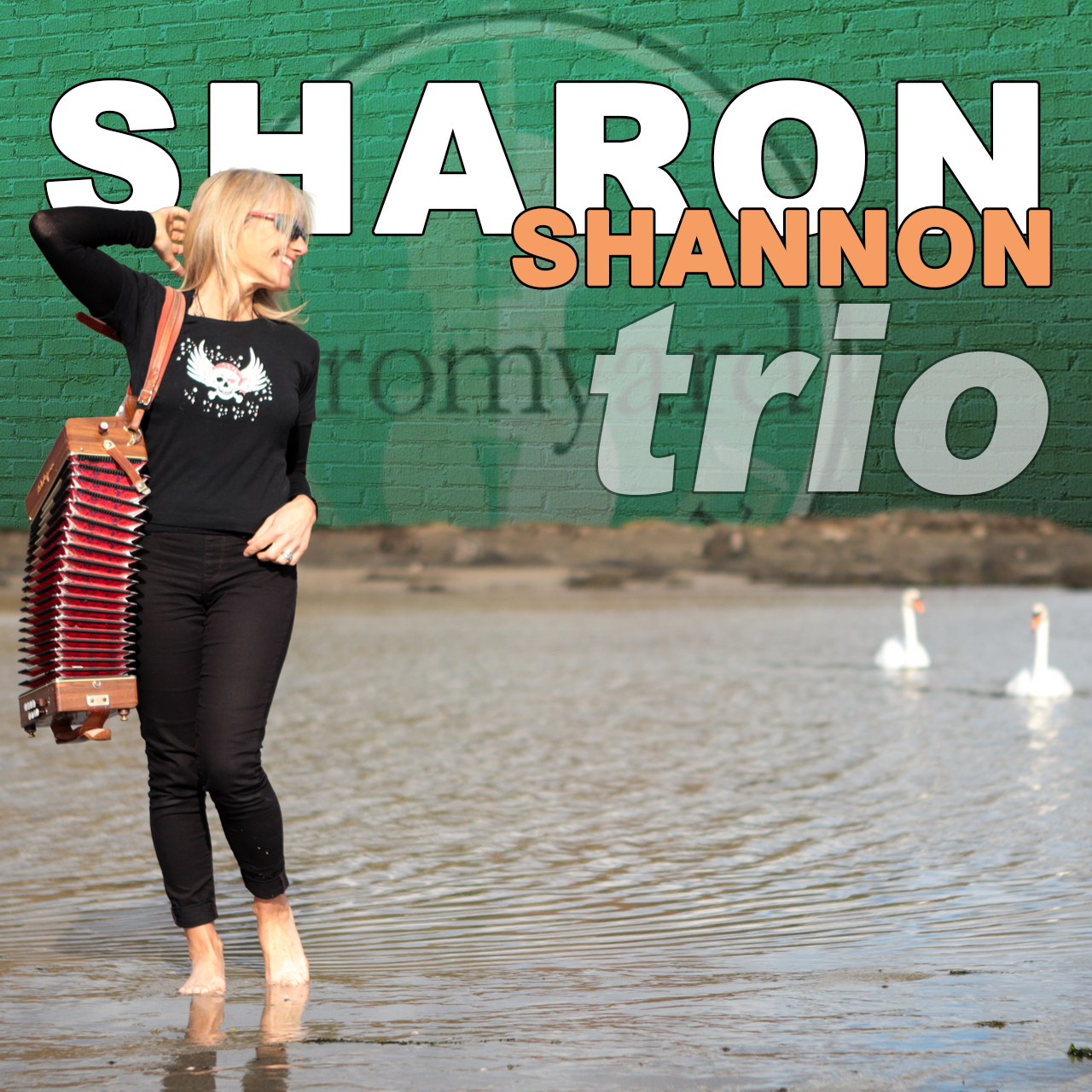 Sharon Shannon Trio